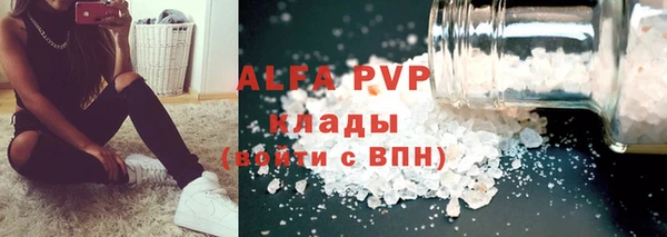 индика Балахна