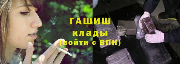 индика Балахна